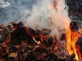 В Дружковке составили 14 админпротоколов на поджигателей опавшей листвы