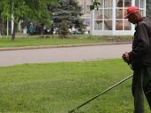 На покос травы в Константиновке выделили солидную сумму