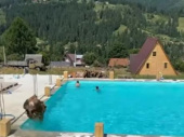 Корова прыгнула в бассейн с детьми в Карпатах (видео)