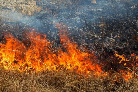 Пожар в Дружковке: спасатели трижды за день выезжали на тушение горящего сухостоя