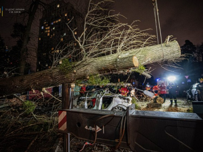 Непогода в Украине: Дерево убило человека в машине