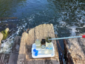 Яка якість води у річках Дружківки