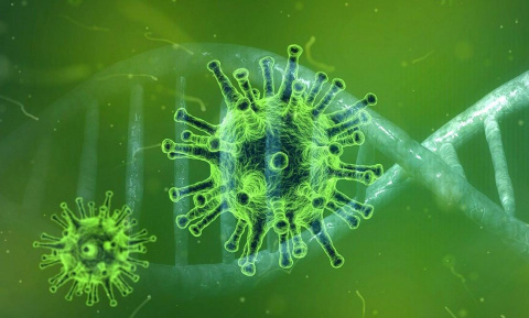 Рекорд по заболеваемости коронавирусом зафиксировали в Украине