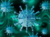 В Украине установлен антирекорд по количеству заразившихся коронавирусом