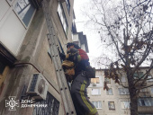 У Дружківці рятувальники врятували котика із зачиненої квартири