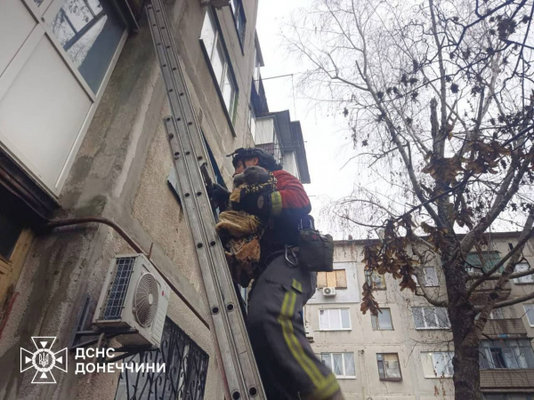 У Дружківці рятувальники врятували котика із зачиненої квартири
