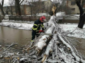 Непогода в Дружковке: поваленные деревья, порванные линии электропередач