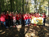 Ученики гимназии «Интеллект» провели День здоровья на природе