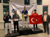 Два золота и бронзу завоевали дружковские тхэквондисты на международном турнире в Швеции 