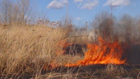 В Украине увеличили штрафы за поджог сухостоя