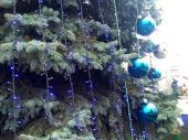 В Дружковке с новогодней елки украли шары