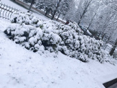 Наприкінці березня у Дружківці випав сніг (ФОТО)