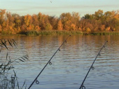 С 1 ноября рыбачить на зимовальных ямах запрещено
