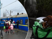 Жителей Дружковки призывают покинуть город