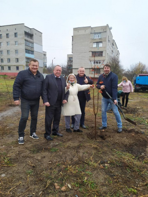 Озеленение Дружковки или пиар за счет городского бюджета