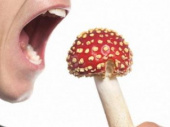 Когда грибы опасны для жизни