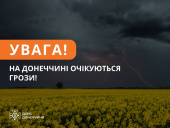 На Донеччині 14 липня оголосили жовтий рівень небезпеки через грози