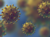 Резкий рост заболеваемости  коронавирусом зафиксировали в Украине