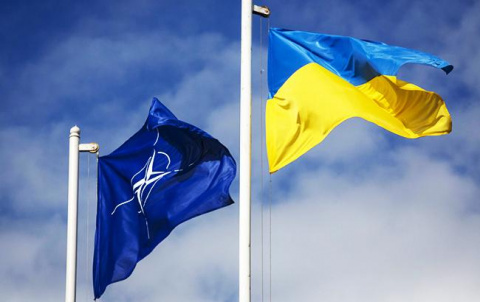 Зеленский подписал указ о мерах по углублению интеграции Украины в НАТО