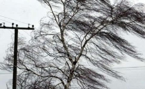 Сильный ветер в Константиновке оборвал линии электропередач
