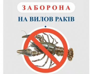 На Донеччині введена заборона на вилов раків