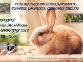 В Дружковке пройдет выставка кроликов и птиц