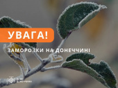 На Донеччині продовжаться заморозки
