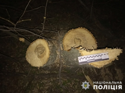 В Дружковке полицейские задержали очередных «черных» лесорубов