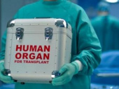 Вступил в силу закон о посмертной трансплантации органов