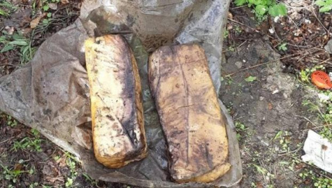 В селе Донецкой области нашли 20 кг пластида В селе Донецкой области нашли 20 кг пластида
