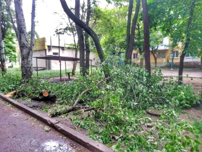 Непогода в Дружковке: поваленные деревья и рухнувшие ветки