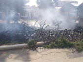 Пожар в центре Дружковки. Сгорела елка и зеленые насаждения (фото, видео)