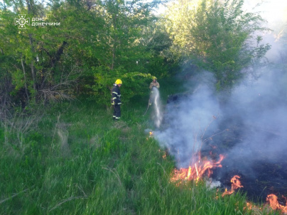 У Дружківській громаді горіла суха трава