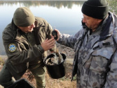 В водоемы возле Дружковки выпустили мальков рыбы